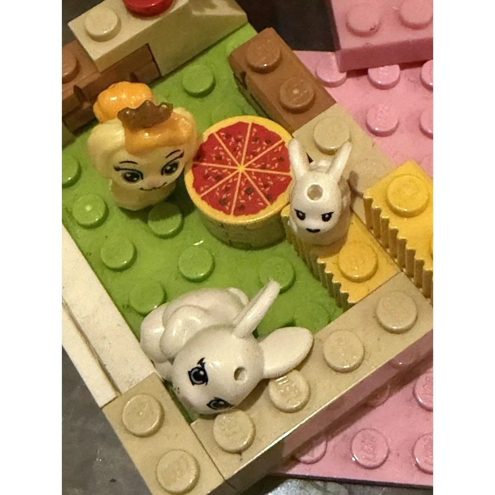 LEGO Friends Mini Dolls Animals Accessories Plane Van Manual Disney Sets Parts